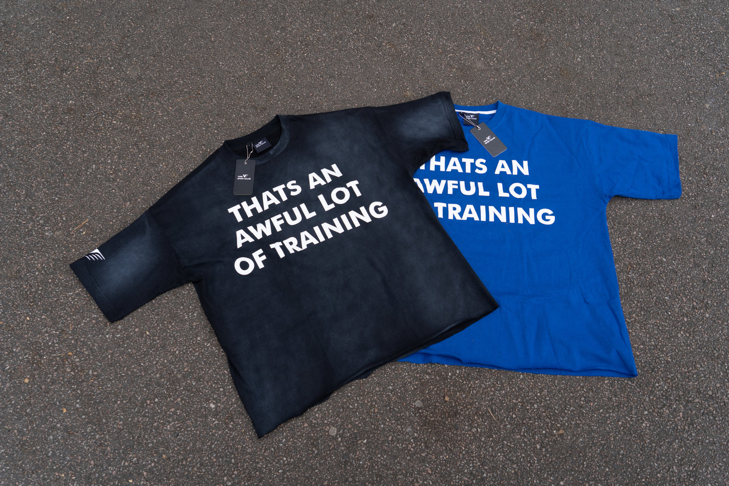 Whole Lot of training cropped oversized T- shirt